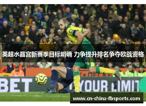 英超水晶宫新赛季目标明确 力争提升排名争夺欧战资格
