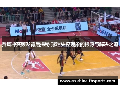 赛场冲突频发背后揭秘 球迷失控现象的根源与解决之道