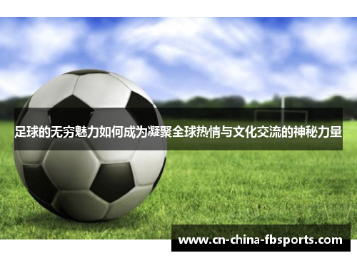 足球的无穷魅力如何成为凝聚全球热情与文化交流的神秘力量
