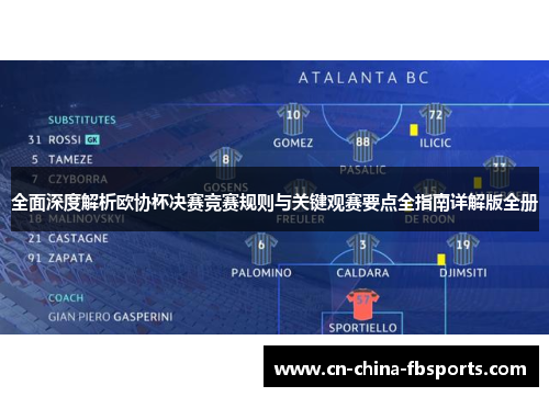 全面深度解析欧协杯决赛竞赛规则与关键观赛要点全指南详解版全册