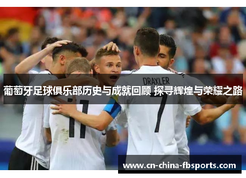 葡萄牙足球俱乐部历史与成就回顾 探寻辉煌与荣耀之路