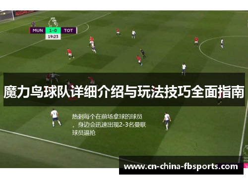 魔力鸟球队详细介绍与玩法技巧全面指南